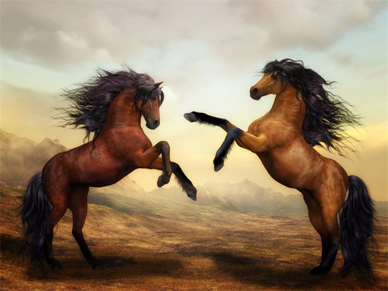 1985 乙丑木牛（海中金命）能不能创业？